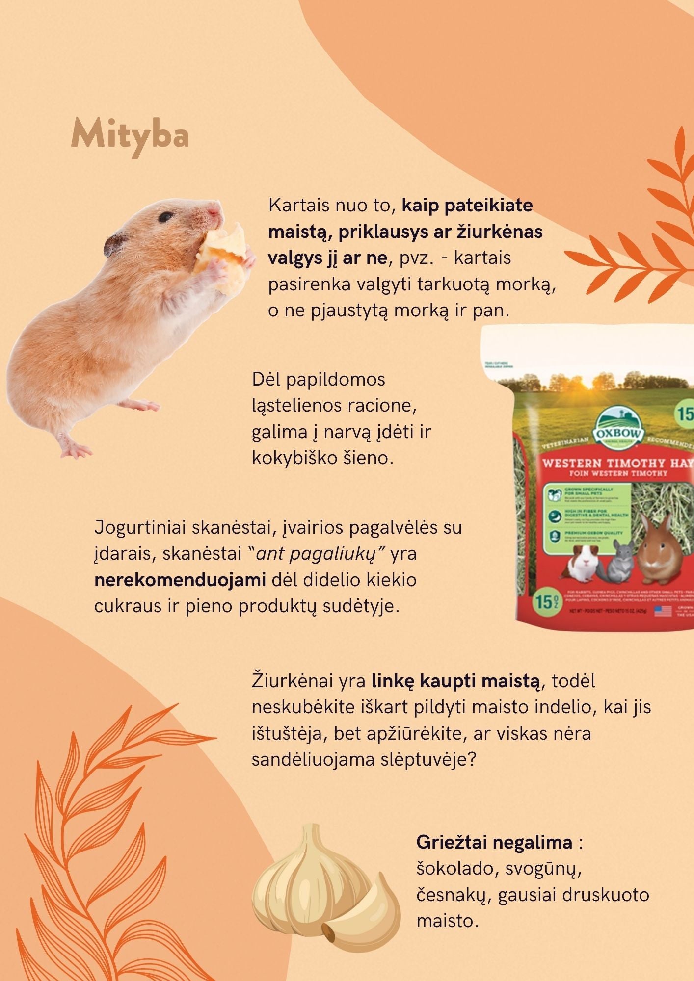 E-gidas: žiurkėnai