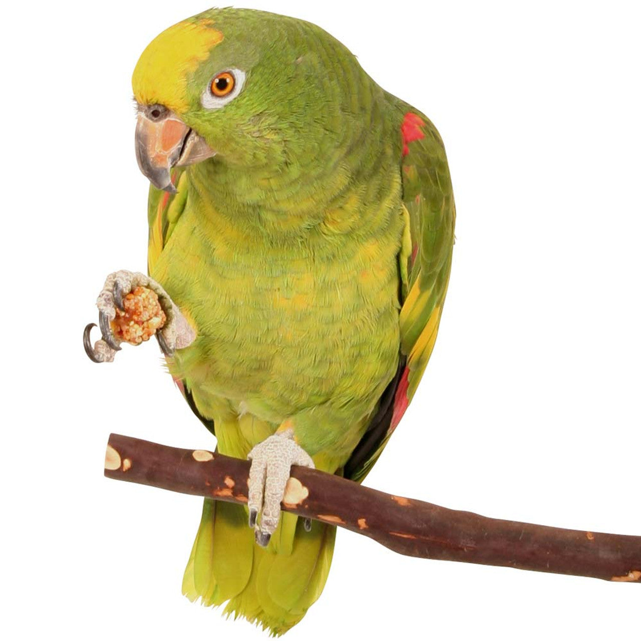 Lafeber Nutri-Berries maistas papūgoms (tropinių vaisių)