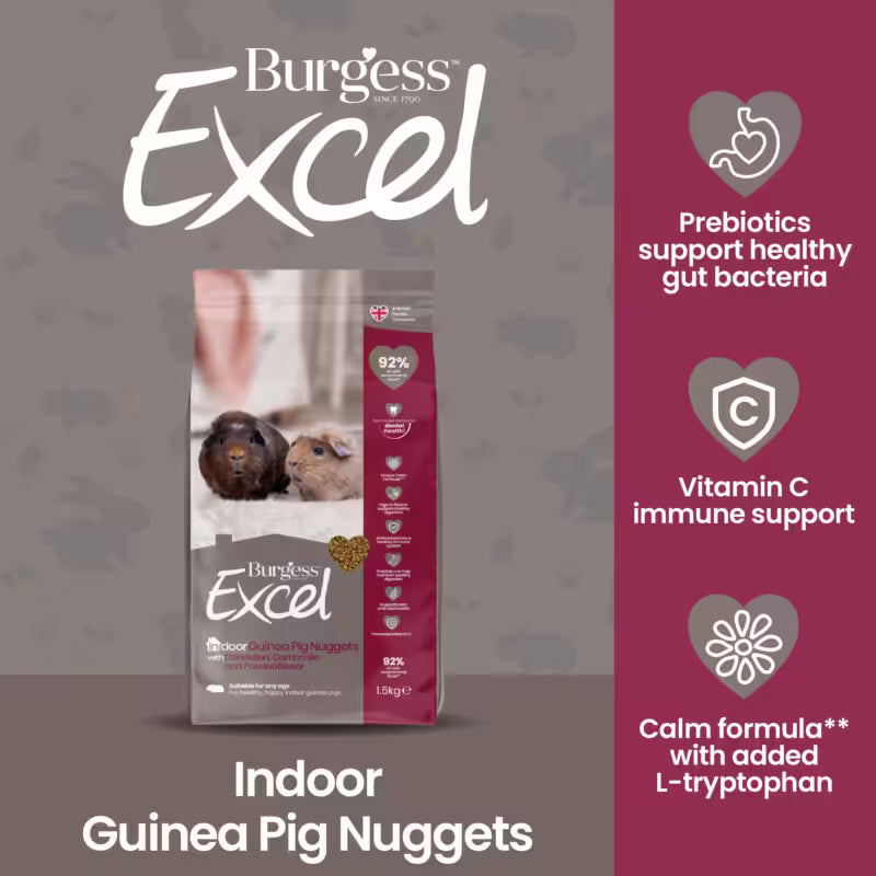 Burgess Excel maistas jūrų kiaulytėms, 1.5 kg
