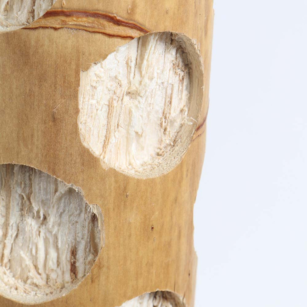 Agavos kaktuso žaislas - mažas