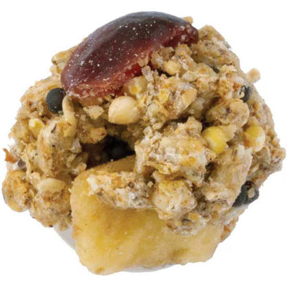 Nutri-Berries žiurkėms, pelėms ir žiurkėnams, 284 g