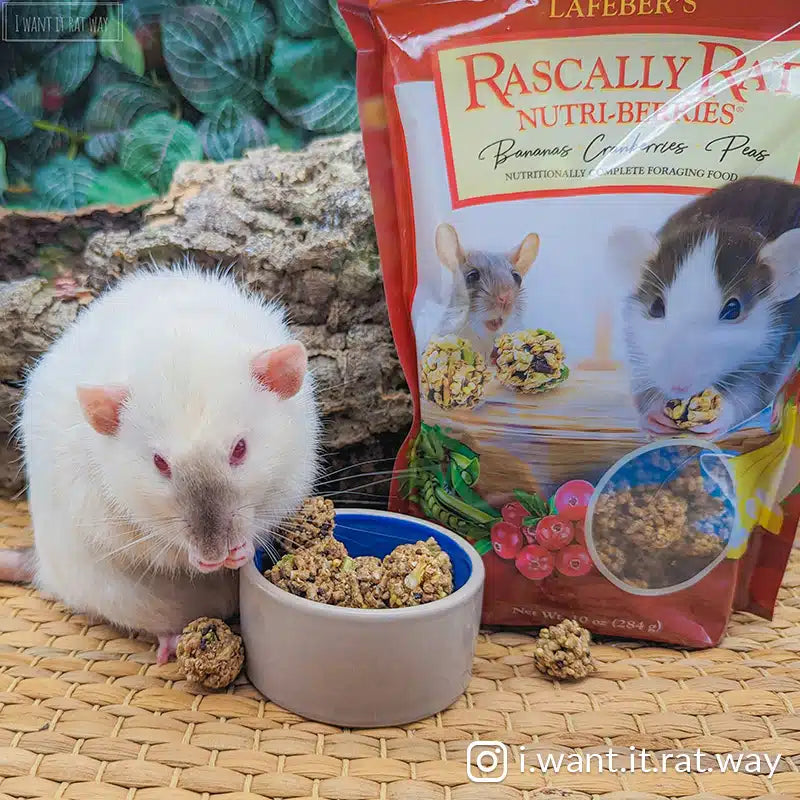 Nutri-Berries žiurkėms, pelėms ir žiurkėnams, 284 g