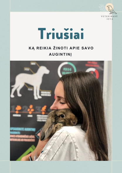 E-gidas : Triušiai