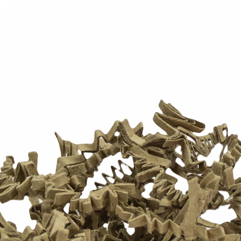 Back to Zoo Natūralus popierius