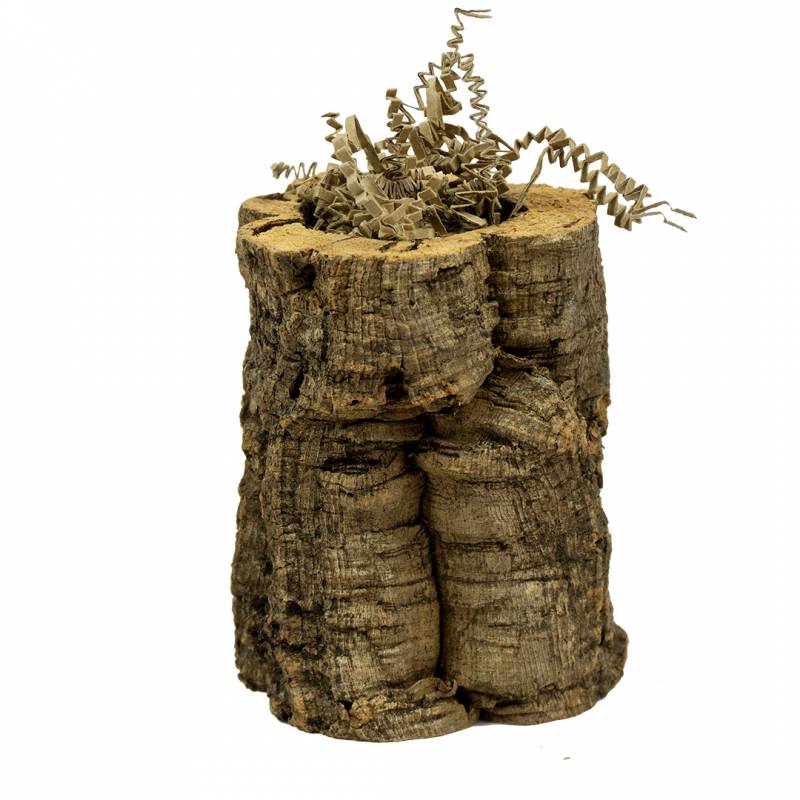 Back to Zoo Natūralus popierius