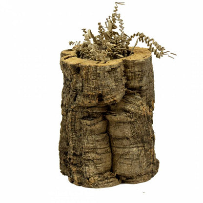 Back to Zoo Natūralus popierius