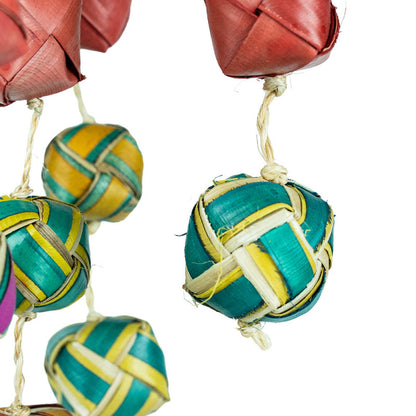 Back To Zoo pintas žaislas su siurprizu