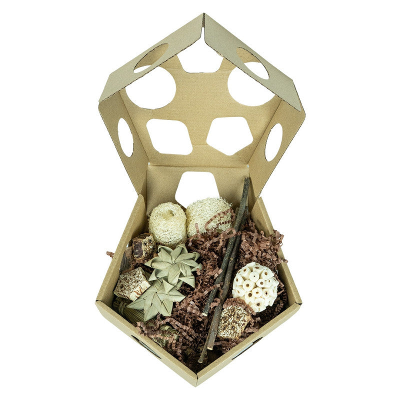 Back to Zoo Nature užimtumo dėžutė