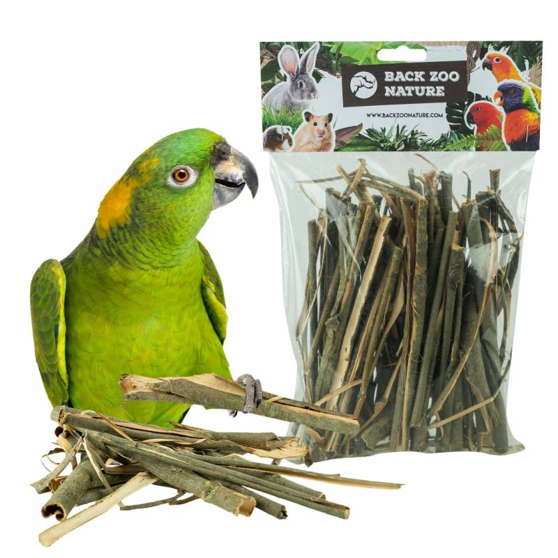 Back to Zoo Gluosnio žievė