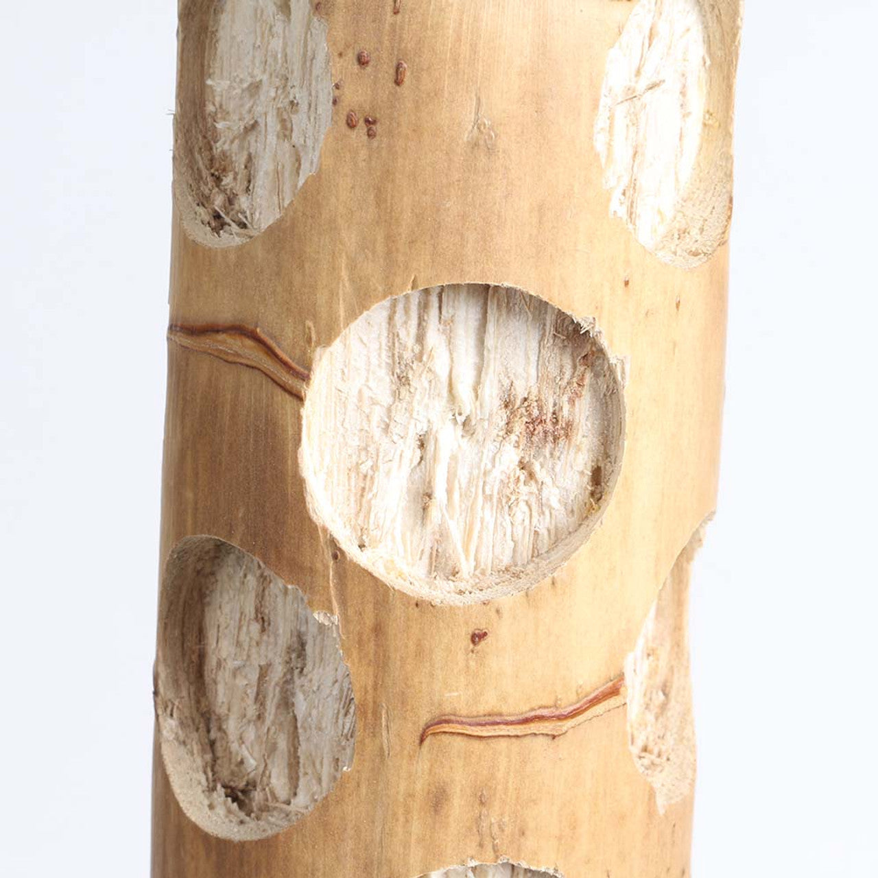 Agavos kaktuso žaislas - mažas