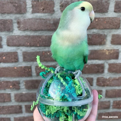 PetLala maisto ieškojimo rutulys