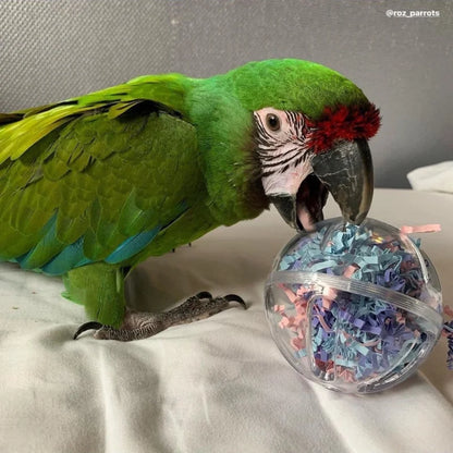 PetLala maisto ieškojimo rutulys