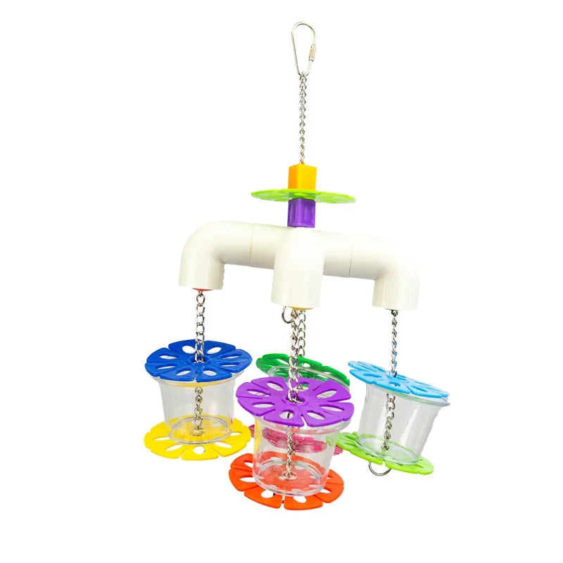 Petlala keturi maisto ieškojimo puodeliai