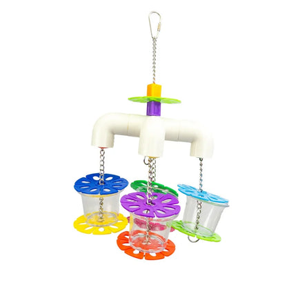 Petlala keturi maisto ieškojimo puodeliai